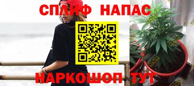 дживик Будённовск