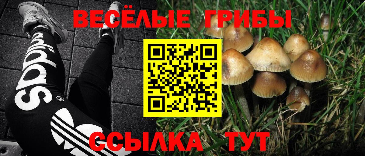 Псилоцибиновые грибы мухоморы  Псилоцибиновые грибы ЛСД  Лобня  Вход с VPN 